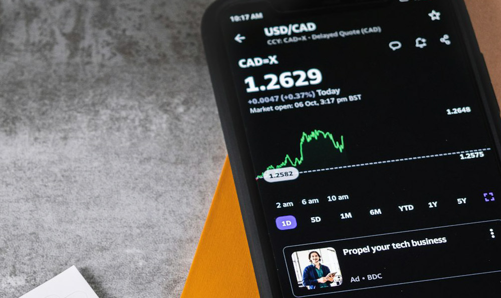 What is stock investing, and why should you invest?