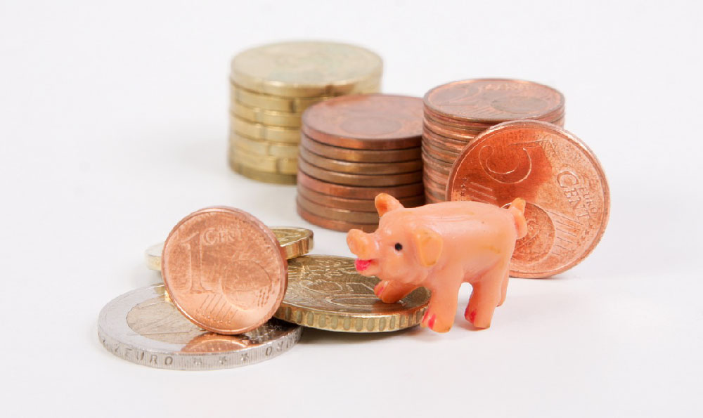 Do Flight Attendants Earn Good Money?