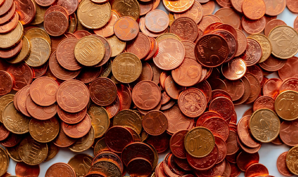 How to Make Money with Flowers? What Flowers Make the Most Money?